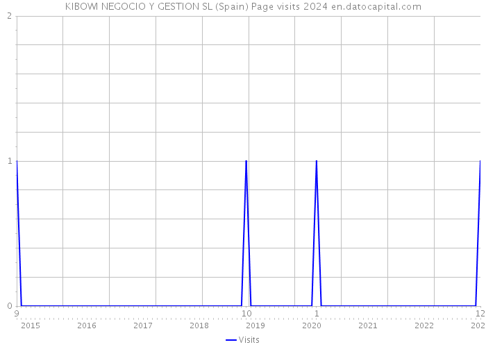 KIBOWI NEGOCIO Y GESTION SL (Spain) Page visits 2024 