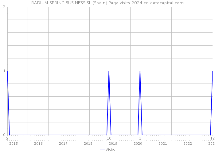 RADIUM SPRING BUSINESS SL (Spain) Page visits 2024 