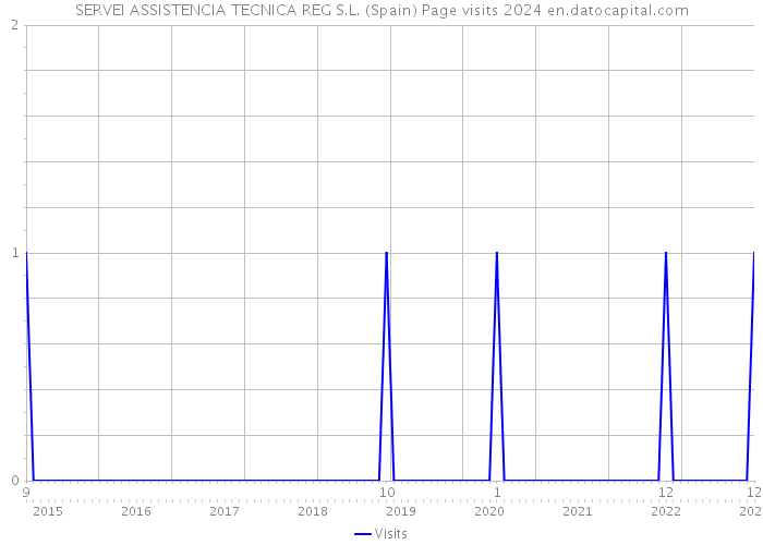 SERVEI ASSISTENCIA TECNICA REG S.L. (Spain) Page visits 2024 