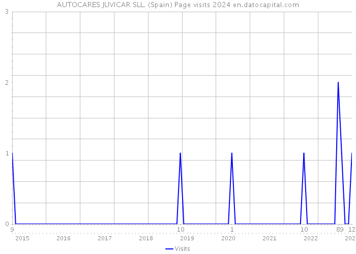 AUTOCARES JUVICAR SLL. (Spain) Page visits 2024 