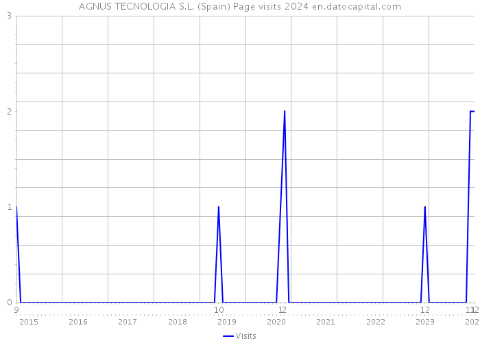 AGNUS TECNOLOGIA S.L. (Spain) Page visits 2024 