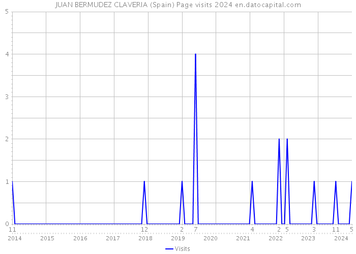 JUAN BERMUDEZ CLAVERIA (Spain) Page visits 2024 