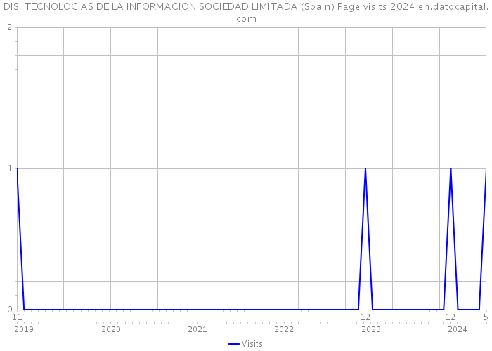 DISI TECNOLOGIAS DE LA INFORMACION SOCIEDAD LIMITADA (Spain) Page visits 2024 