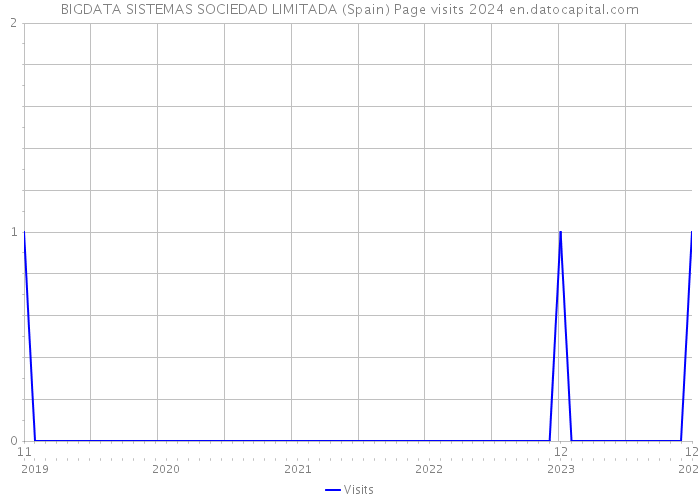 BIGDATA SISTEMAS SOCIEDAD LIMITADA (Spain) Page visits 2024 