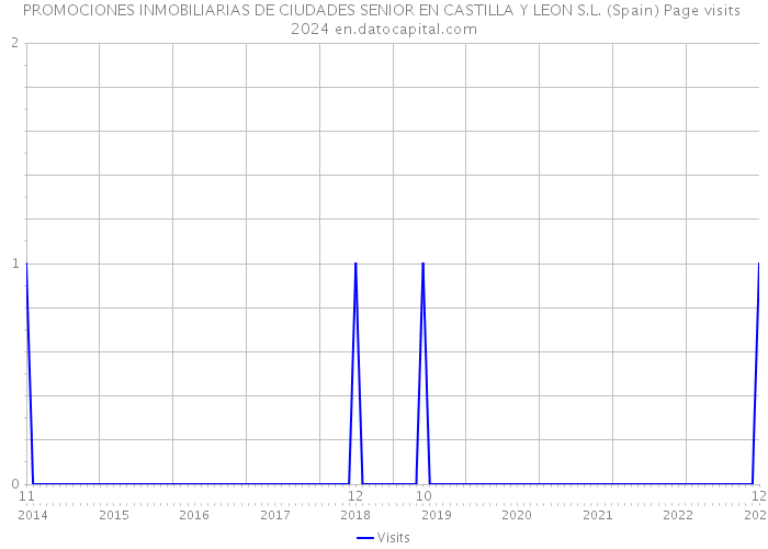 PROMOCIONES INMOBILIARIAS DE CIUDADES SENIOR EN CASTILLA Y LEON S.L. (Spain) Page visits 2024 