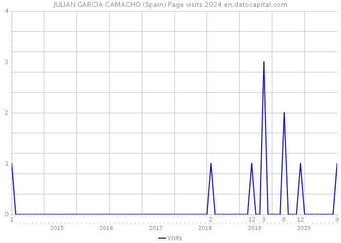 JULIAN GARCIA CAMACHO (Spain) Page visits 2024 