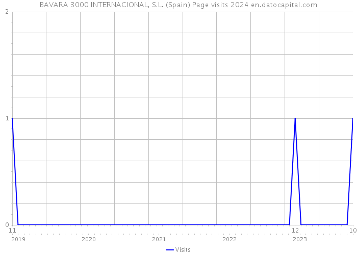 BAVARA 3000 INTERNACIONAL, S.L. (Spain) Page visits 2024 