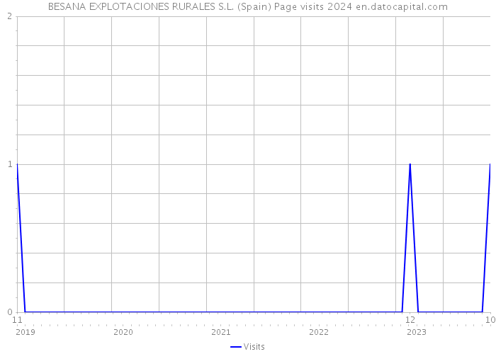 BESANA EXPLOTACIONES RURALES S.L. (Spain) Page visits 2024 