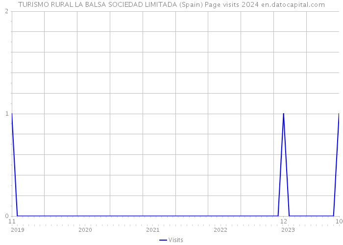 TURISMO RURAL LA BALSA SOCIEDAD LIMITADA (Spain) Page visits 2024 