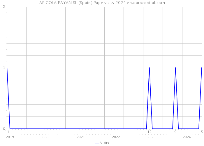 APICOLA PAYAN SL (Spain) Page visits 2024 