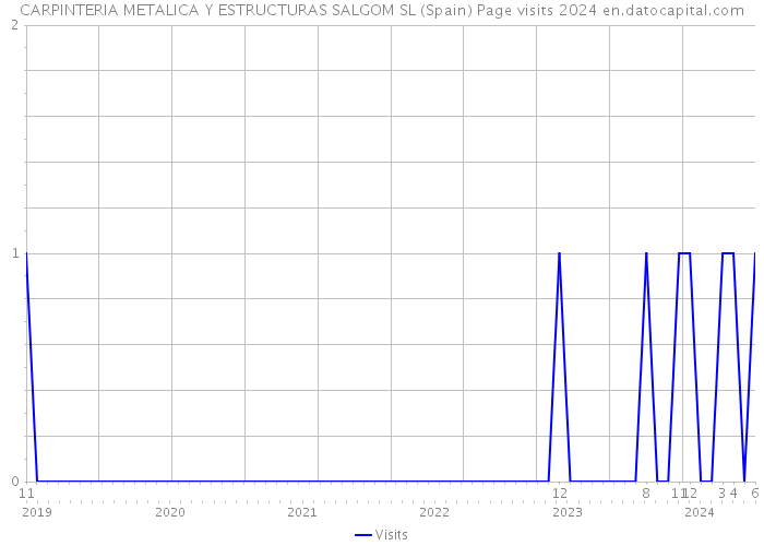 CARPINTERIA METALICA Y ESTRUCTURAS SALGOM SL (Spain) Page visits 2024 