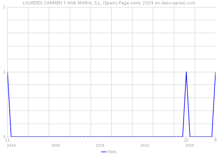 LOURDES CARMEN Y ANA MARIA, S.L. (Spain) Page visits 2024 