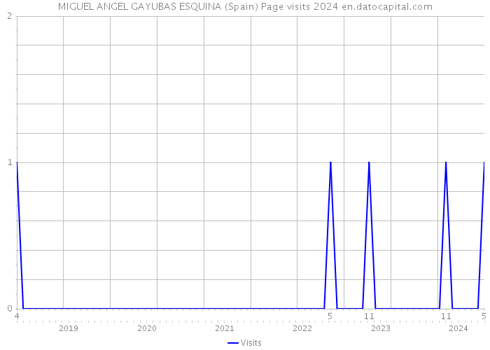 MIGUEL ANGEL GAYUBAS ESQUINA (Spain) Page visits 2024 