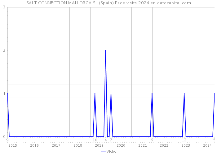 SALT CONNECTION MALLORCA SL (Spain) Page visits 2024 