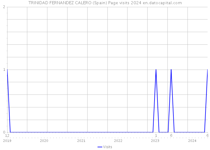 TRINIDAD FERNANDEZ CALERO (Spain) Page visits 2024 