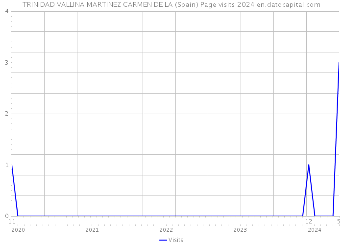 TRINIDAD VALLINA MARTINEZ CARMEN DE LA (Spain) Page visits 2024 