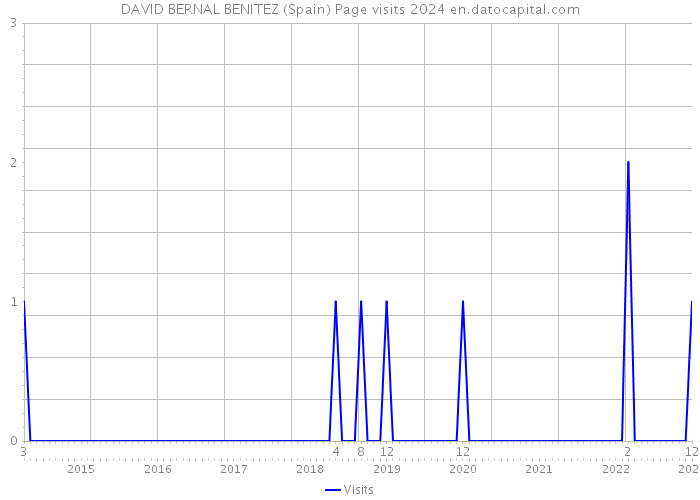 DAVID BERNAL BENITEZ (Spain) Page visits 2024 