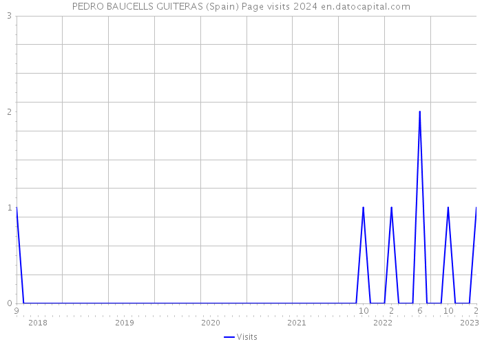 PEDRO BAUCELLS GUITERAS (Spain) Page visits 2024 
