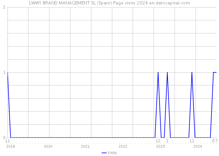 LWWY BRAND MANAGEMENT SL (Spain) Page visits 2024 