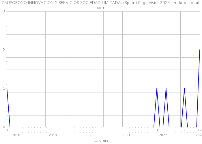 GRUPOBONO INNOVACION Y SERVICIOS SOCIEDAD LIMITADA. (Spain) Page visits 2024 
