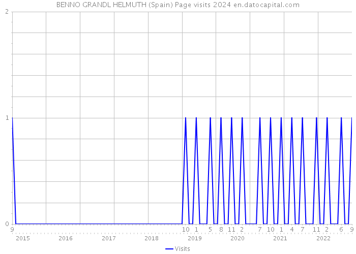 BENNO GRANDL HELMUTH (Spain) Page visits 2024 