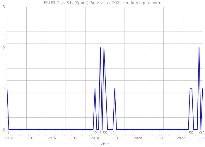 BRUSI DUN S.L. (Spain) Page visits 2024 