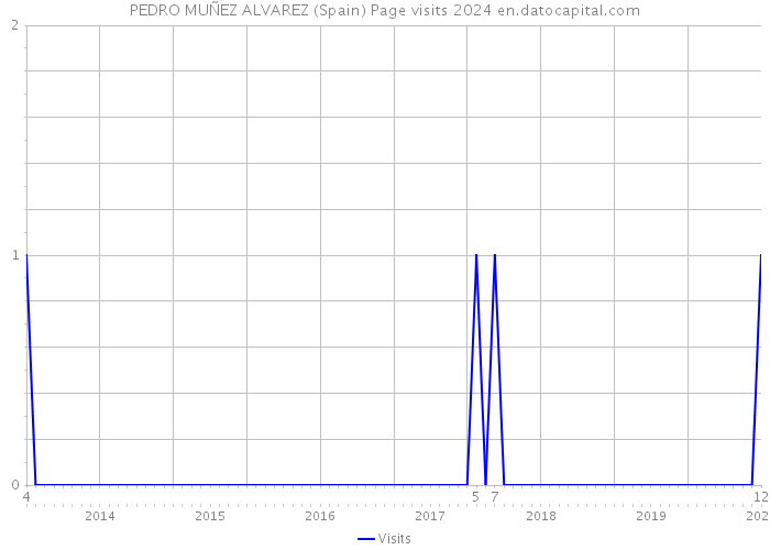 PEDRO MUÑEZ ALVAREZ (Spain) Page visits 2024 