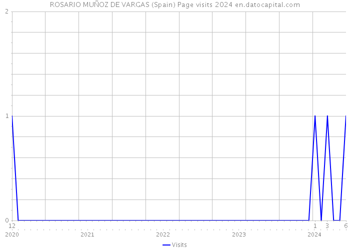 ROSARIO MUÑOZ DE VARGAS (Spain) Page visits 2024 