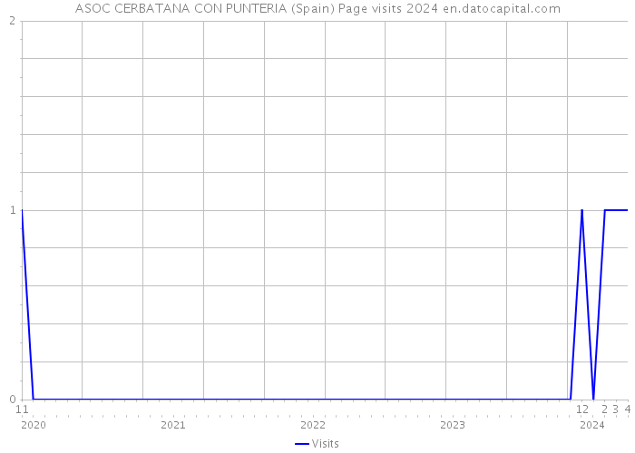 ASOC CERBATANA CON PUNTERIA (Spain) Page visits 2024 