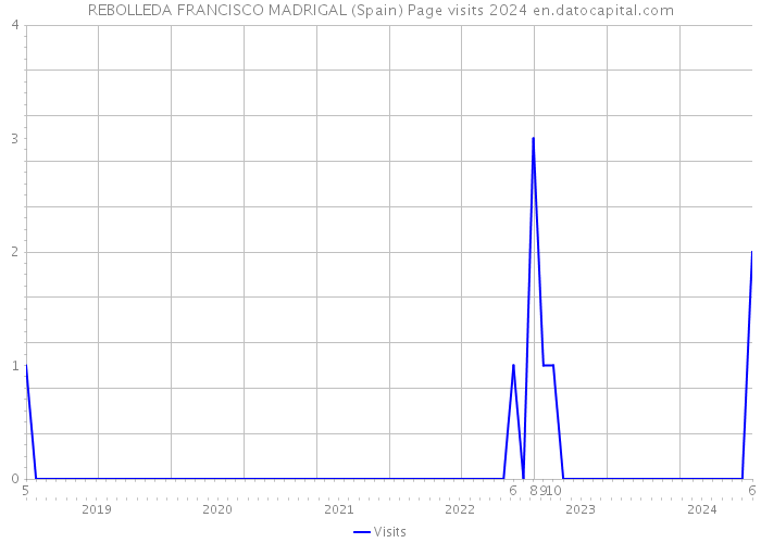 REBOLLEDA FRANCISCO MADRIGAL (Spain) Page visits 2024 