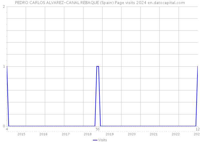 PEDRO CARLOS ALVAREZ-CANAL REBAQUE (Spain) Page visits 2024 