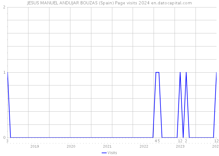 JESUS MANUEL ANDUJAR BOUZAS (Spain) Page visits 2024 