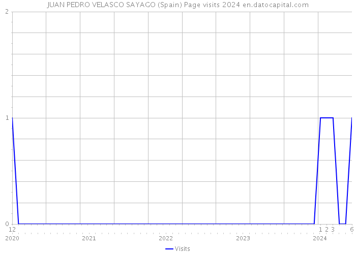 JUAN PEDRO VELASCO SAYAGO (Spain) Page visits 2024 
