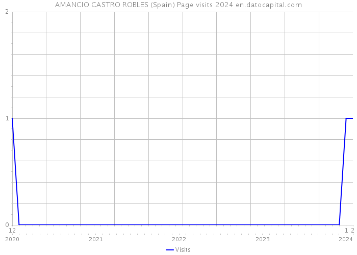 AMANCIO CASTRO ROBLES (Spain) Page visits 2024 