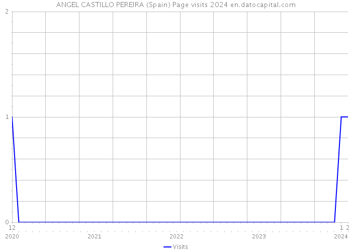 ANGEL CASTILLO PEREIRA (Spain) Page visits 2024 