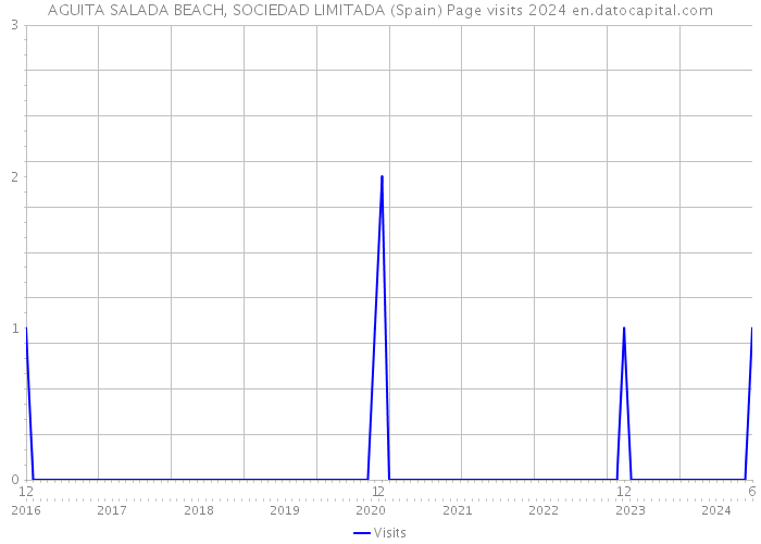 AGUITA SALADA BEACH, SOCIEDAD LIMITADA (Spain) Page visits 2024 