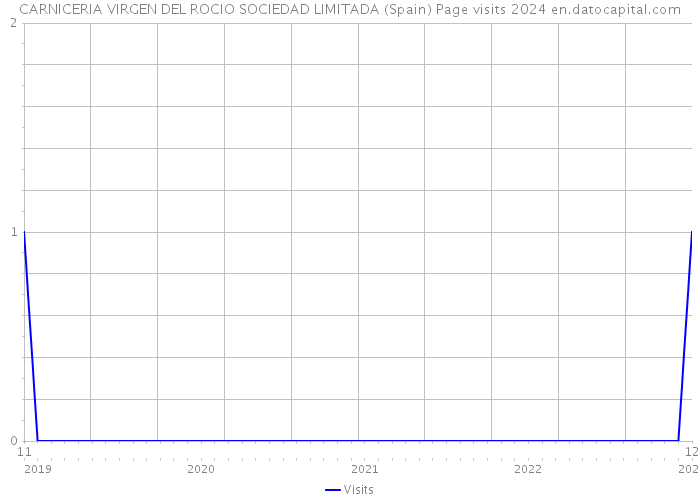 CARNICERIA VIRGEN DEL ROCIO SOCIEDAD LIMITADA (Spain) Page visits 2024 