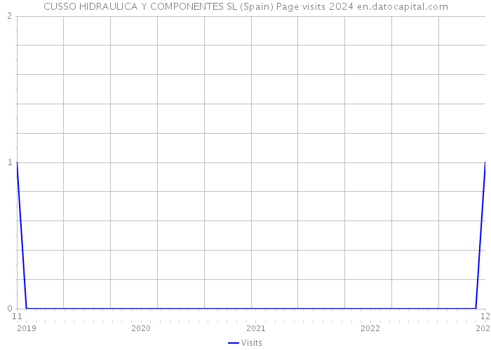 CUSSO HIDRAULICA Y COMPONENTES SL (Spain) Page visits 2024 