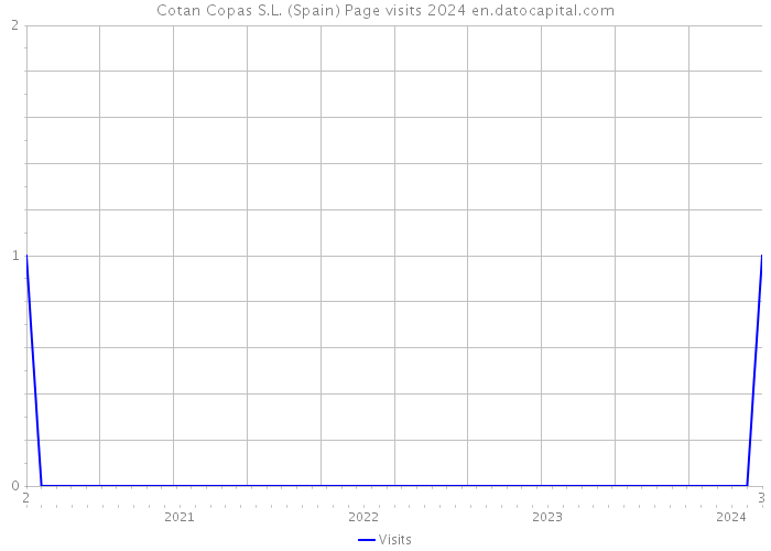 Cotan Copas S.L. (Spain) Page visits 2024 