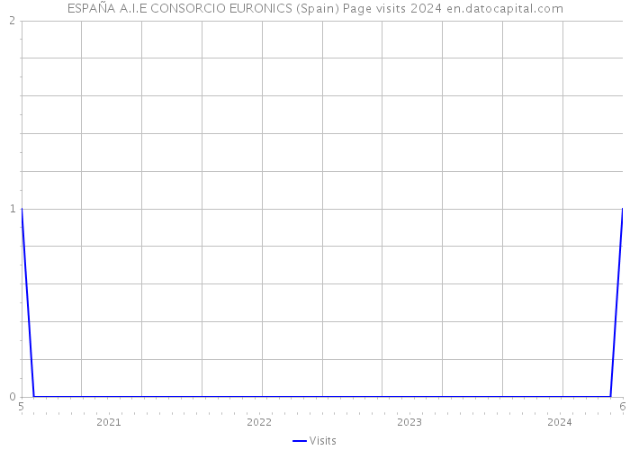 ESPAÑA A.I.E CONSORCIO EURONICS (Spain) Page visits 2024 