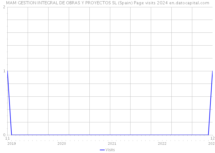 MAM GESTION INTEGRAL DE OBRAS Y PROYECTOS SL (Spain) Page visits 2024 