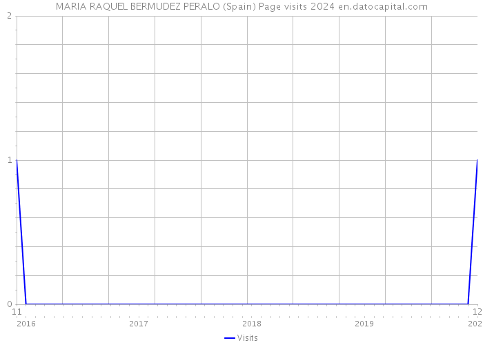 MARIA RAQUEL BERMUDEZ PERALO (Spain) Page visits 2024 