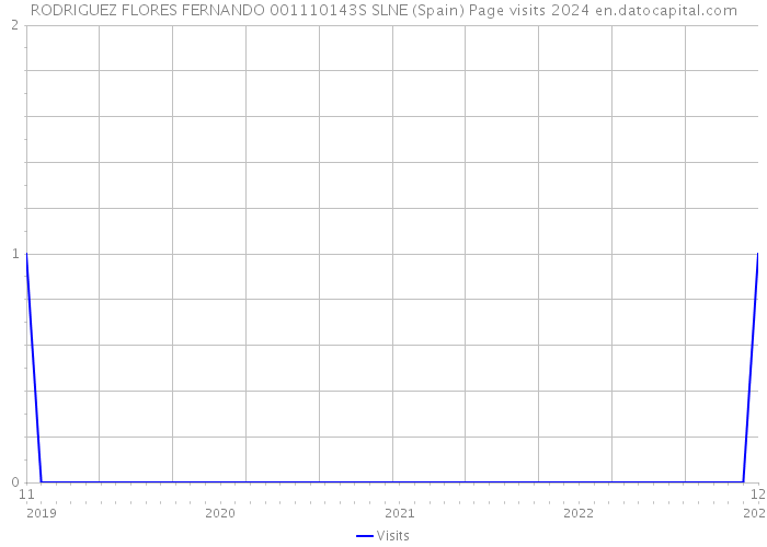 RODRIGUEZ FLORES FERNANDO 001110143S SLNE (Spain) Page visits 2024 