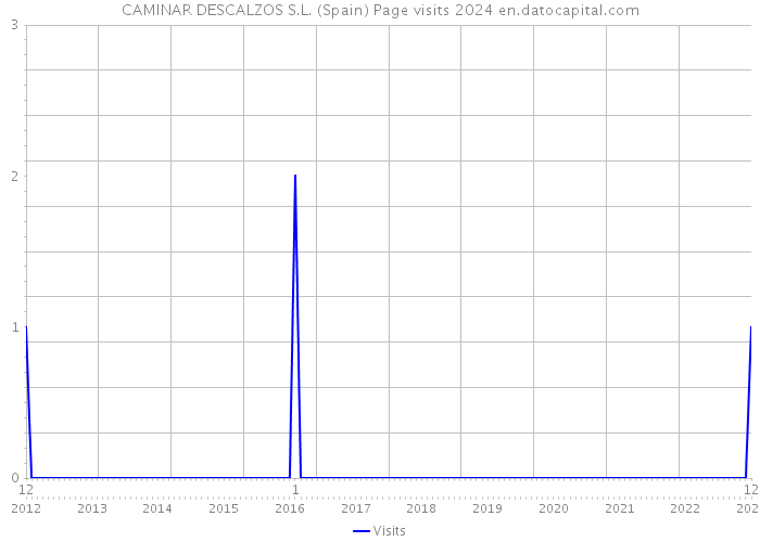 CAMINAR DESCALZOS S.L. (Spain) Page visits 2024 