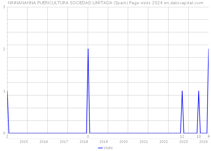 NINNANANNA PUERICULTURA SOCIEDAD LIMITADA (Spain) Page visits 2024 