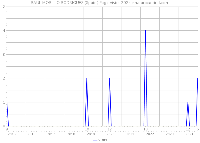 RAUL MORILLO RODRIGUEZ (Spain) Page visits 2024 