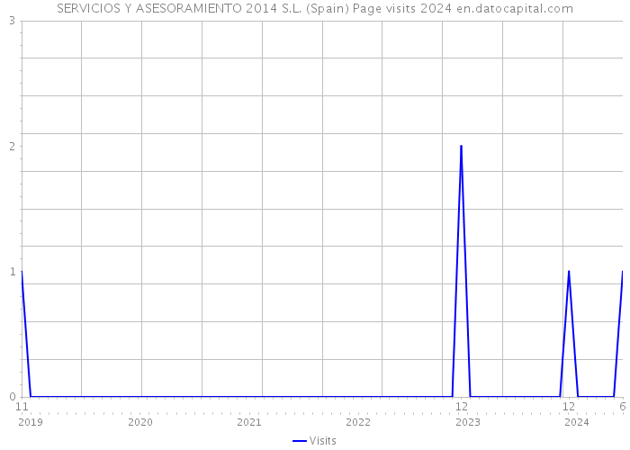 SERVICIOS Y ASESORAMIENTO 2014 S.L. (Spain) Page visits 2024 