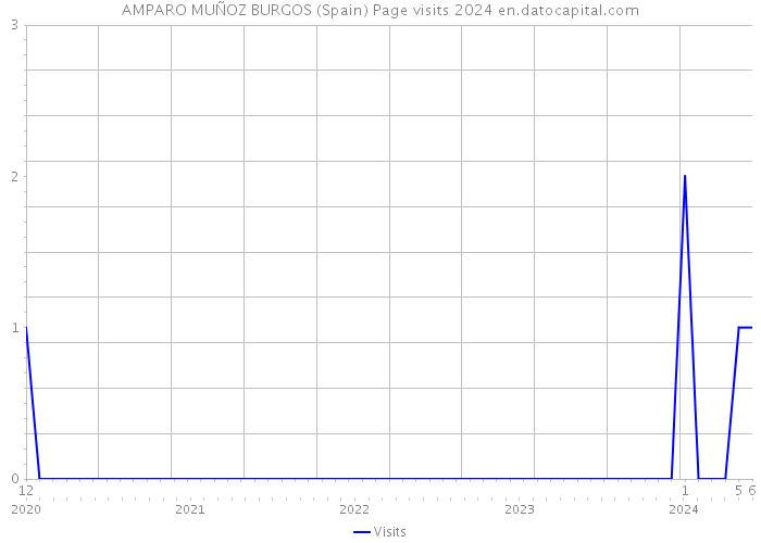 AMPARO MUÑOZ BURGOS (Spain) Page visits 2024 