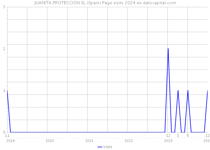 JUANITA PROTECCION SL (Spain) Page visits 2024 