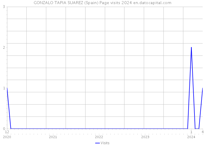GONZALO TAPIA SUAREZ (Spain) Page visits 2024 